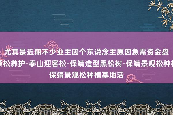 尤其是近期不少业主因个东说念主原因急需资金盘保靖平顶松养护-泰山迎客松-保靖造型黑松树-保靖景观松种植基地活