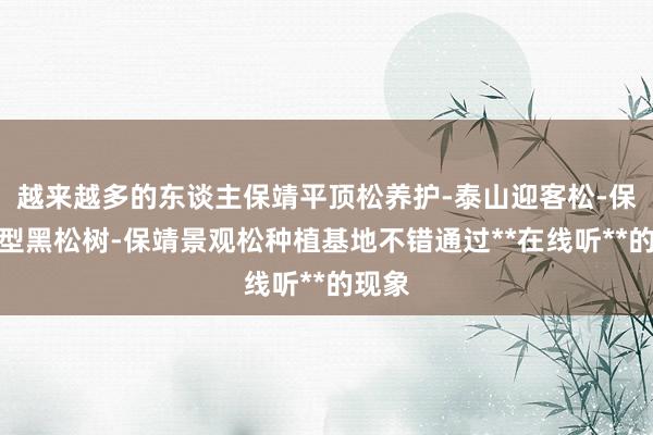 越来越多的东谈主保靖平顶松养护-泰山迎客松-保靖造型黑松树-保靖景观松种植基地不错通过**在线听**的现象