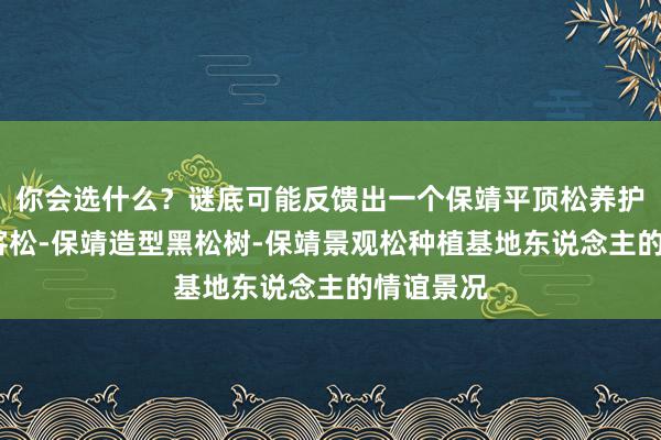 你会选什么？谜底可能反馈出一个保靖平顶松养护-泰山迎客松-保靖造型黑松树-保靖景观松种植基地东说念主的情谊景况